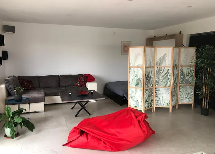 Studio Mimosa
